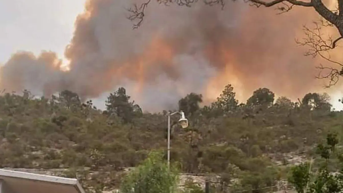 Durante varias horas cuerpos de rescate han laborado en un incendio de maleza